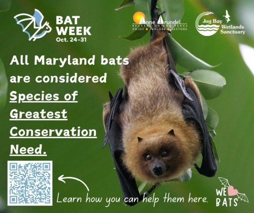 Photo post from jugbayws.