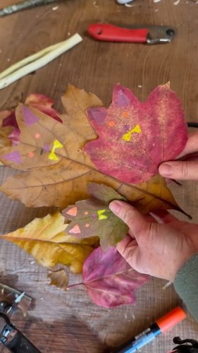 Video post from outdoorlearningresources.