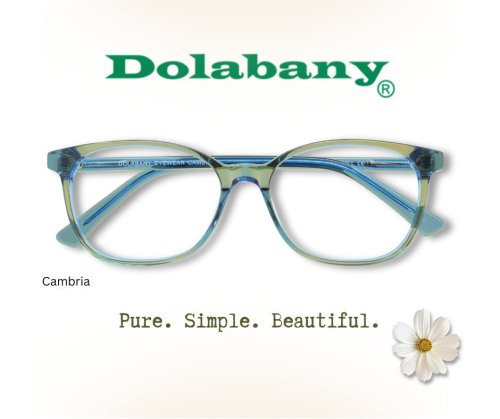 Photo post from dolabanyeyewear.