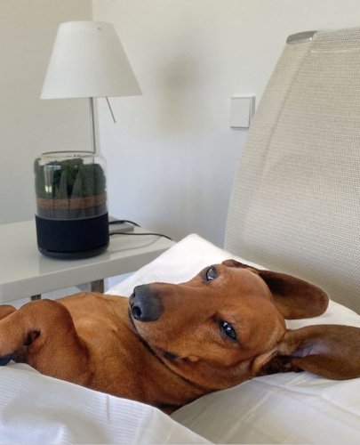 Photo post from briiv.natural.