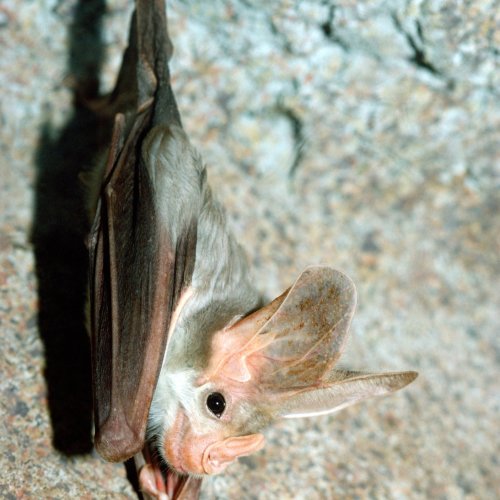 Photo post from shears.rick.