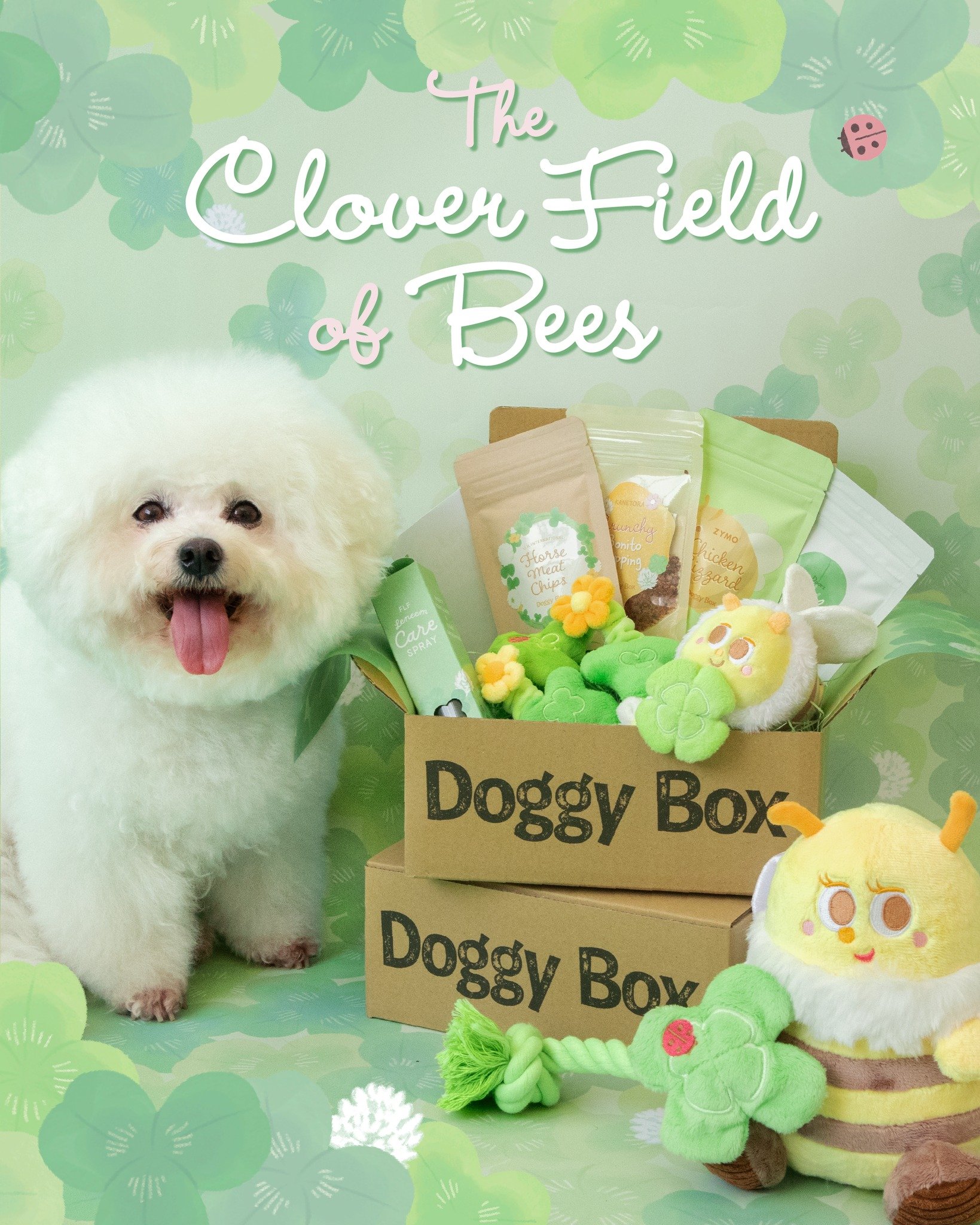 Doggy Box | ワンちゃんのためのワクワク定期便