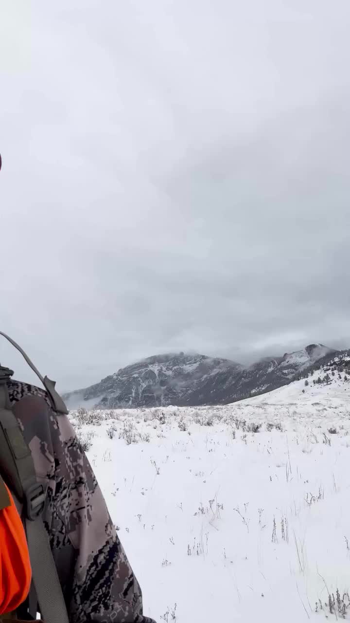 Video post from nwfoutdoors.