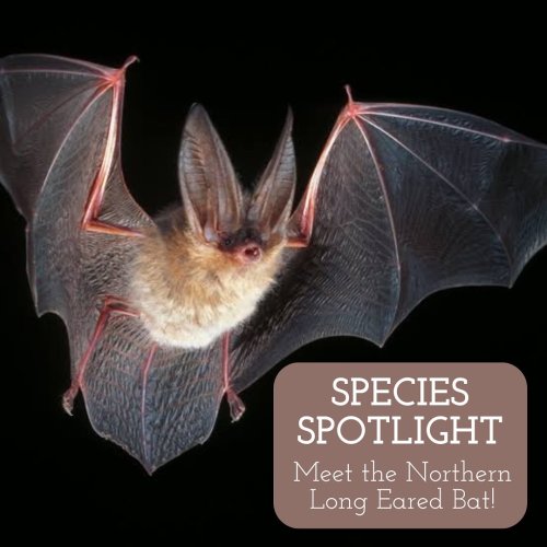 Photo post from future.river.