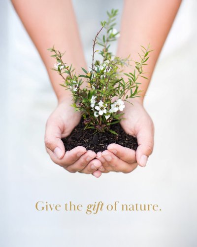 Photo post from comvita_nz.