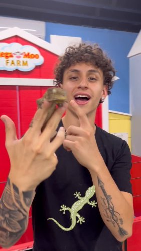 Video post from njexoticpets.