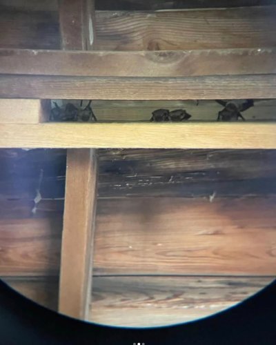 Photo post from philippadunne.