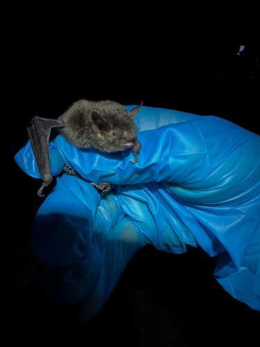 Photo post from wilderness.mistress.