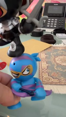 Video post from ejs_fishing_charters.