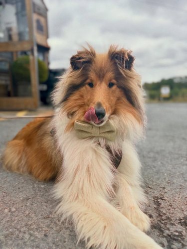 Carousel post from toast_flyford.