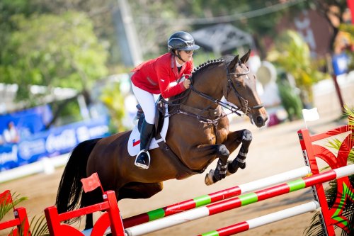 Carousel post from fei_global.