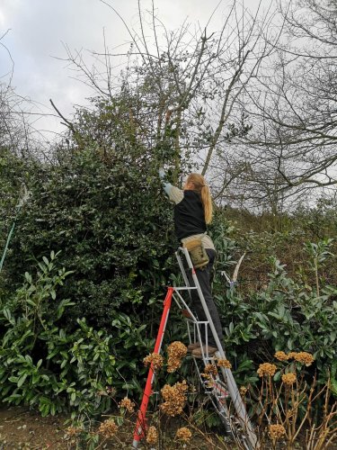 Photo post from bumblebee.gardening.