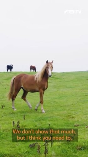 Video post from fei_global.