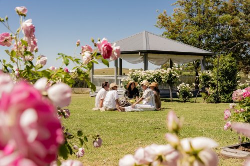 Carousel post from gundogestate.