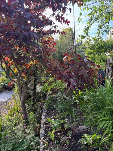 Photo post from gardenhousebrighton.