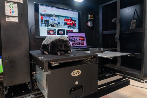 Photo post from jhbgroup1.