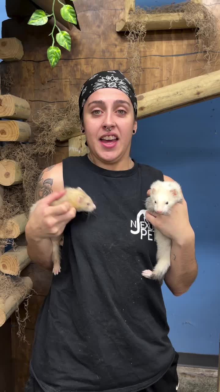 Video post from njexoticpets.