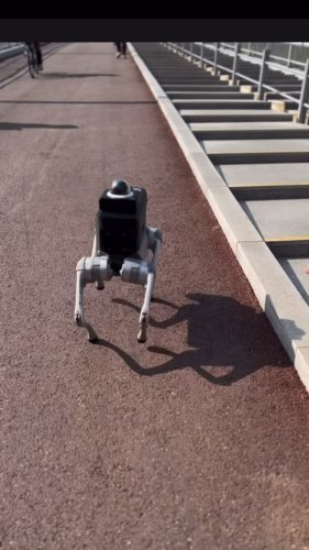 Video post from nydreamer7.