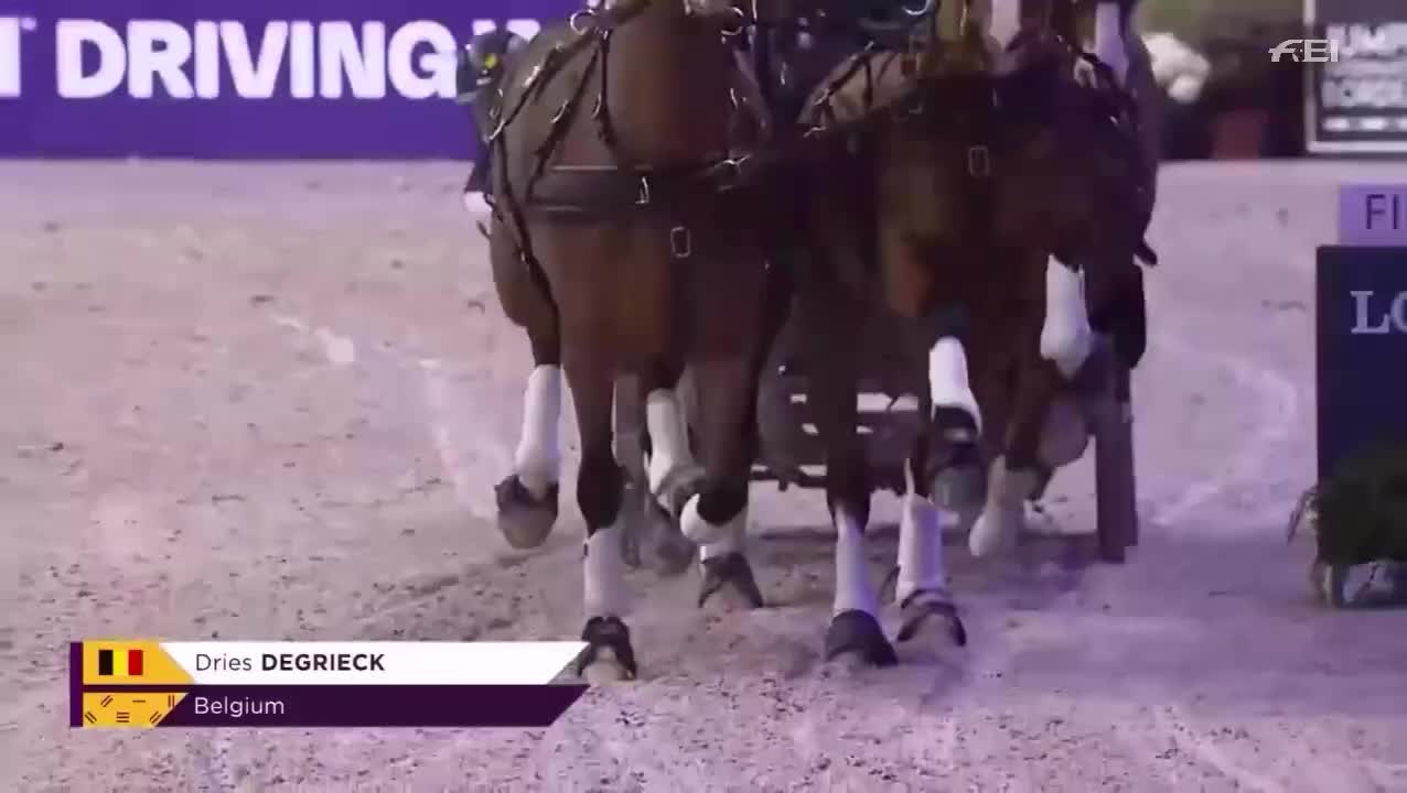 Video post from fei_global.