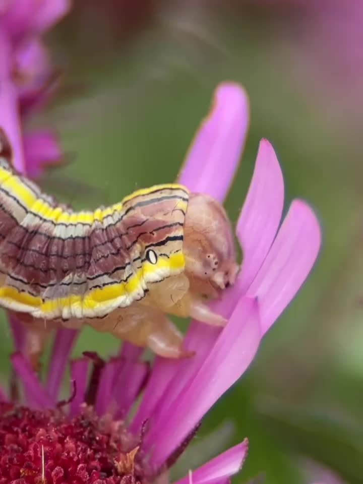 Carousel post from hummiejo.