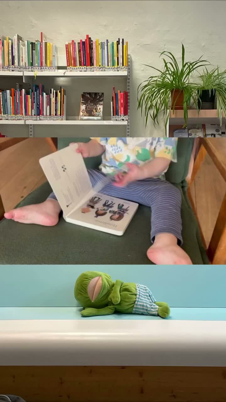 Video post from bibliotheeksintgillis.