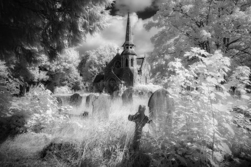 Photo post from rpslandscape.