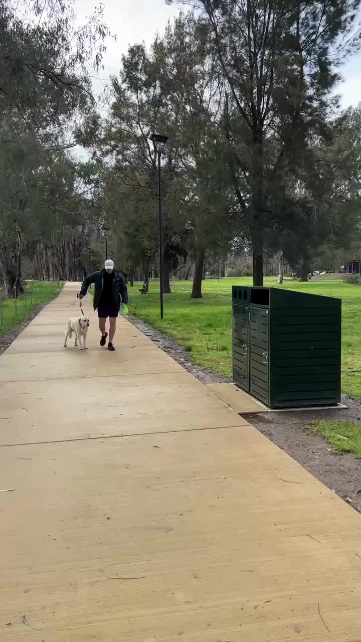 Video post from alburycity.