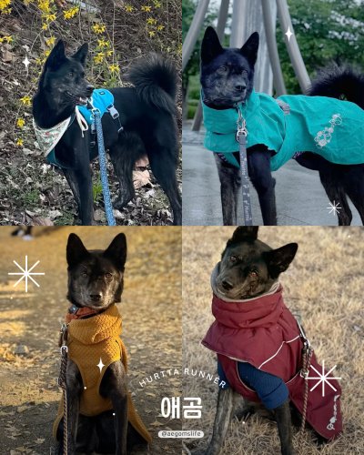 Photo post from hurttakorea.