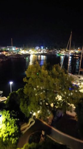 Video post from jandewit.4848.