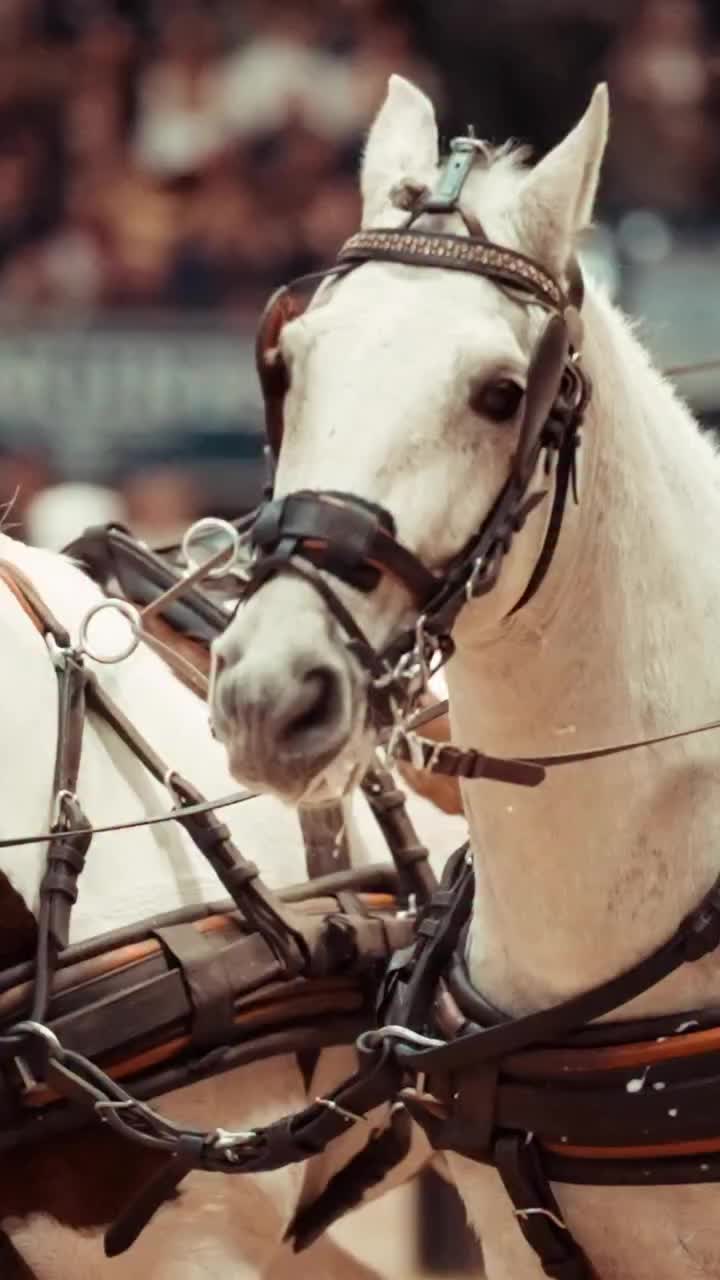 Video post from fei_global.