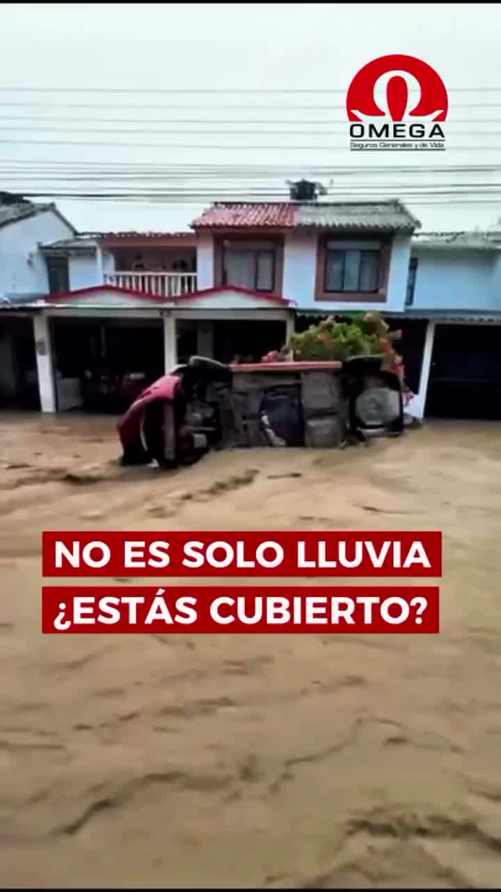 Video post from omegasegurosco.