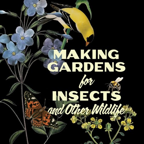 Photo post from vinland_valley_nursery.