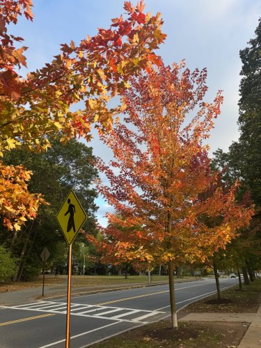 Photo post from bostoncollege.