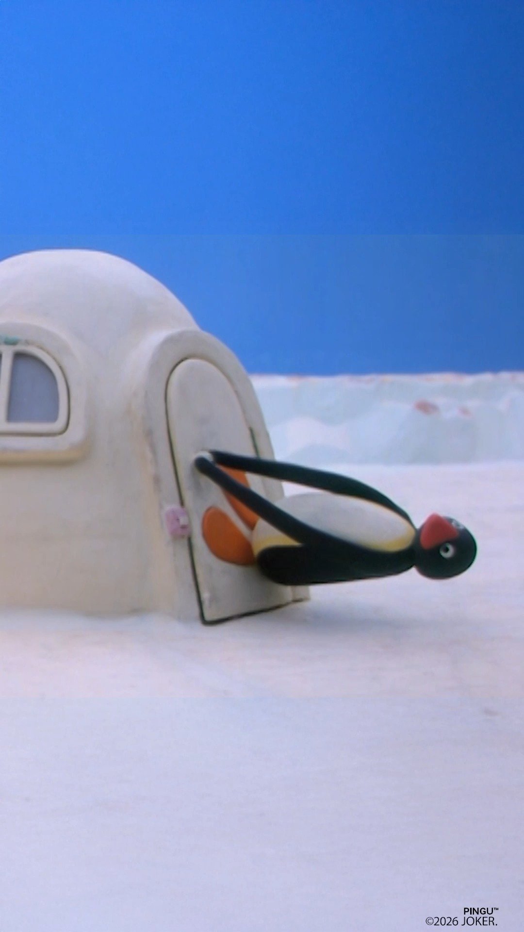 Video post from pingu_jp.