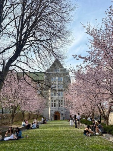 Photo post from bostoncollege.