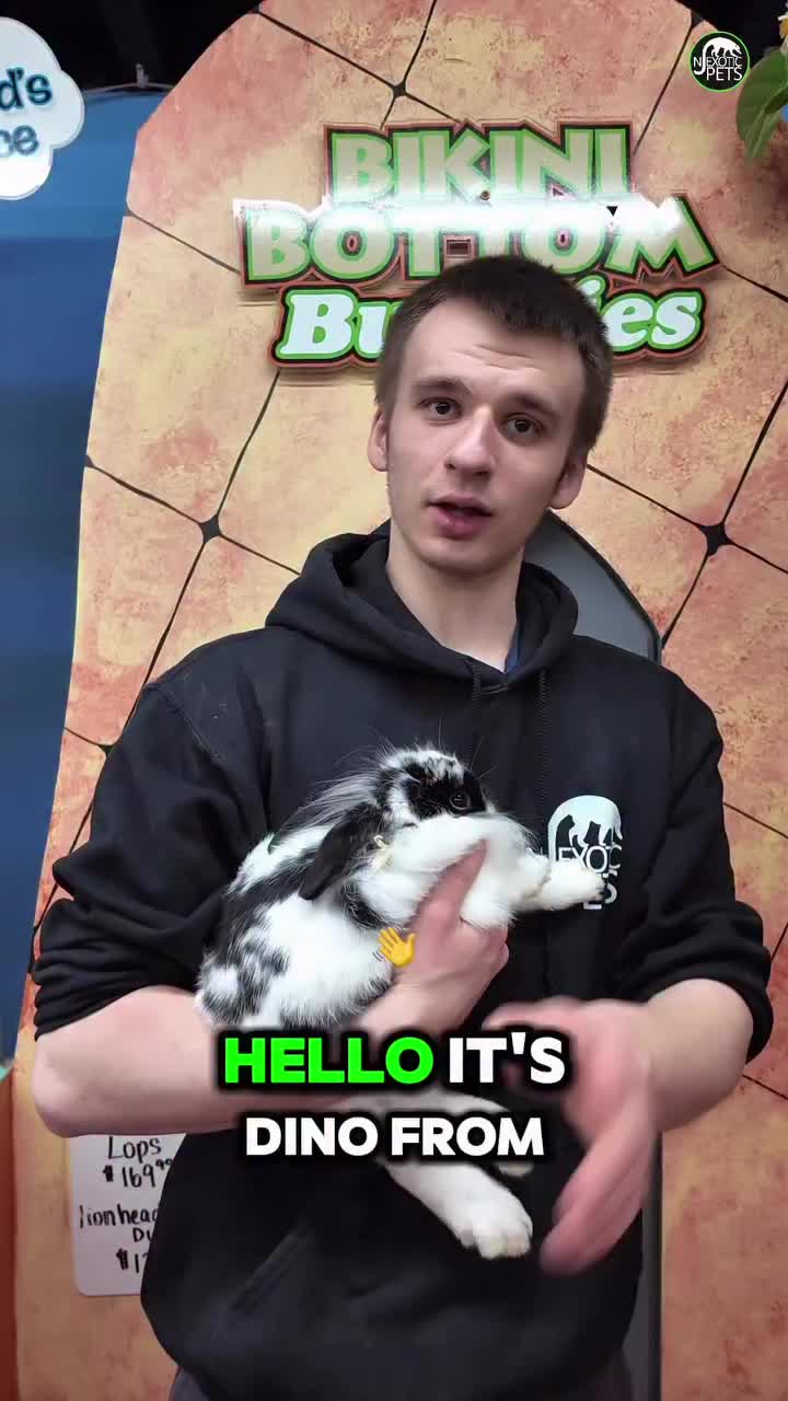 Video post from njexoticpets.