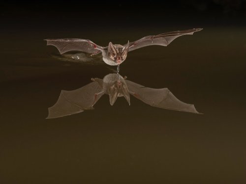 Carousel post from pricelsewell.