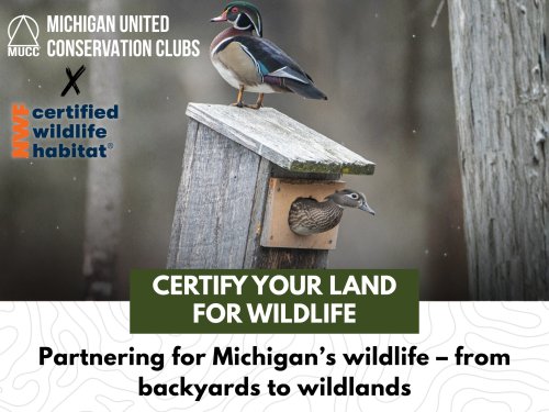 Photo post from mucc1937.