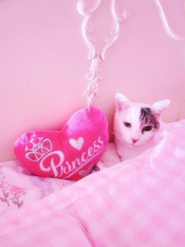 Photo post from margaritabloom.