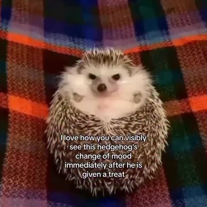 Video post from njexoticpets.