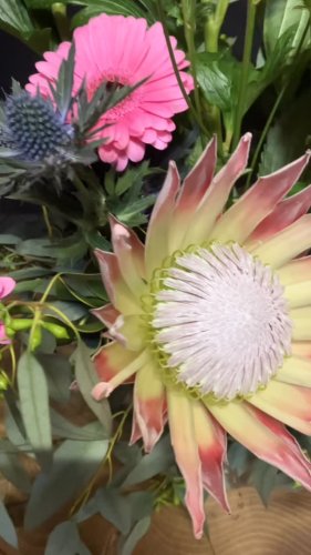 Video post from dellemannbloemen.