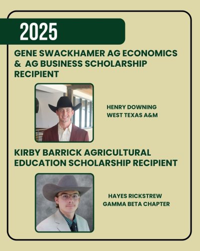 Photo post from alphagammarhohq.