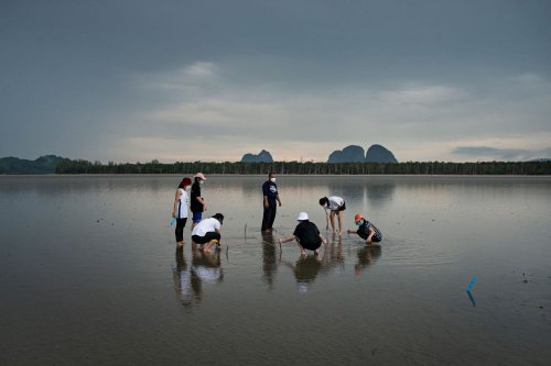 Carousel post from artscopemagazine.