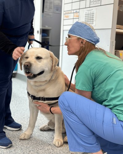 Carousel post from familyanimalhospitalcm.