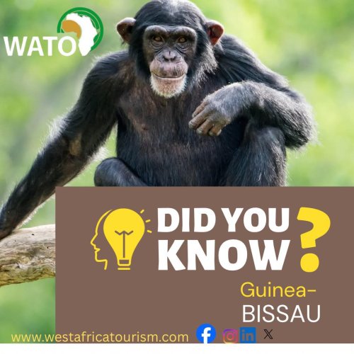 Photo post from wafricatourism.