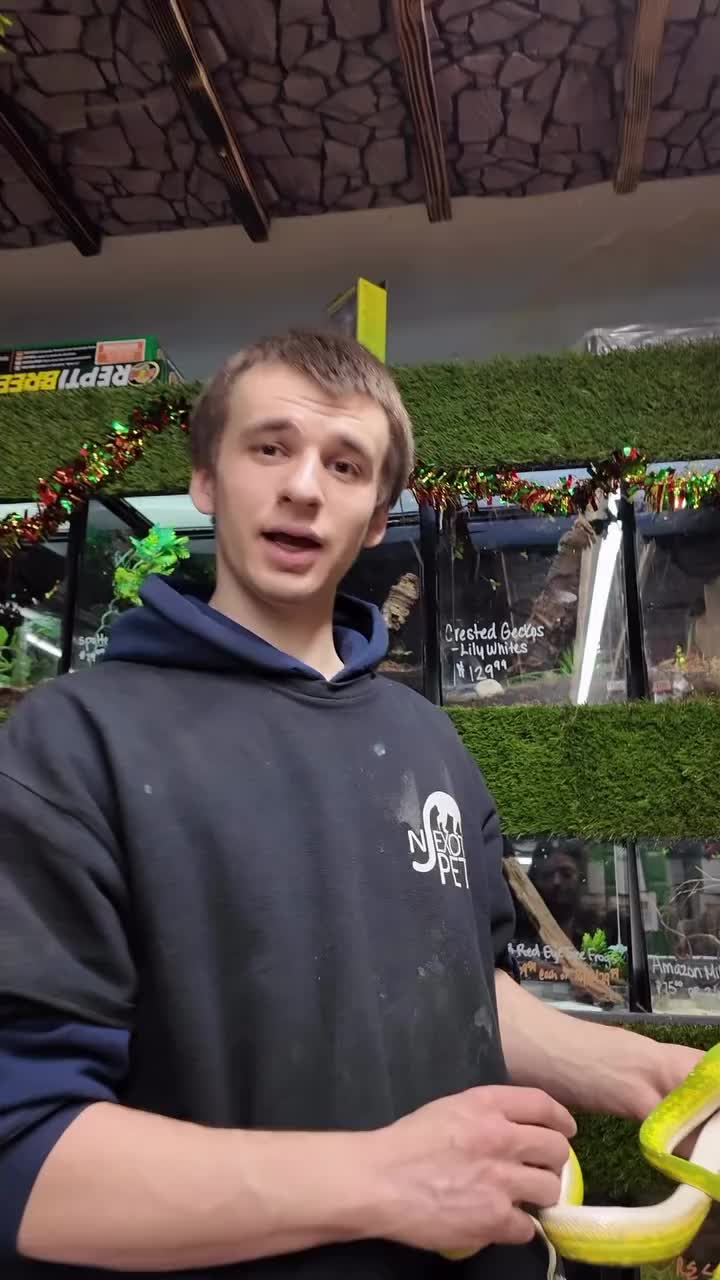 Video post from njexoticpets.