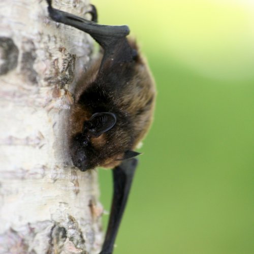 Carousel post from heath_hands.