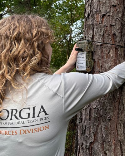 Carousel post from georgiawildlife.