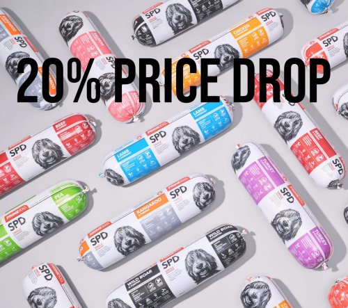 Photo post from k9playtimedoggydaycare.