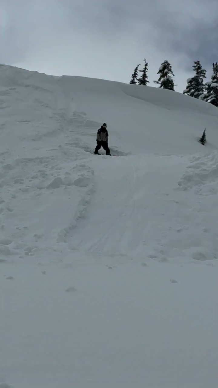 Video post from gnusnowboards.
